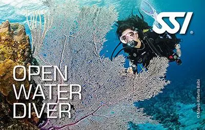 The Dive Center 